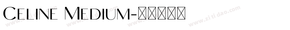 Celine Medium字体转换